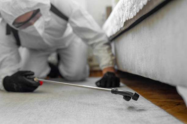 Professional Bed Bug Control technician working in Greene, RI
