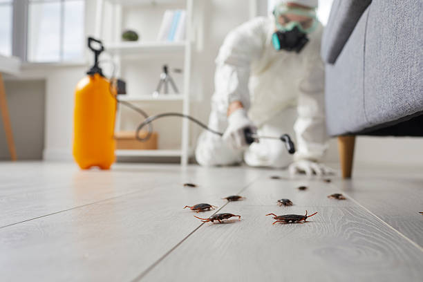 Trusted Cockroach Control service in Greene, RI - Nex Pest Control